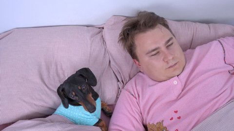 Cute dachshund dog sleeps in bed next to owner in funny pink pajamas. Alarm clock installed on smartphone rings, pet and man wake up to start beautiful new day together
