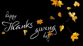 happy thanksgiving text sign flat lay. pumpkin with leaves and walnuts on stylish scarf top view, space for text. seasonal greetings, autumn fall holidays. harvest time. cozy mood - Powered by Shutterstock - Get 15% off with code: PIKWIZARD15