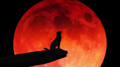 The silhouette of a wolf sitting on a cliff edge howling at a blood-red moon.