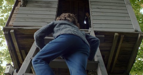 Caucasian kid boy climbing a ladder to get into a tree house. Shot on RED Dragon with 2x Anamorphic lens