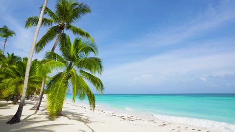 Dominican Republic, Punta Cana beach with palm trees, white sand and blue Caribbean sea. Travel to tropical sunny paradise.