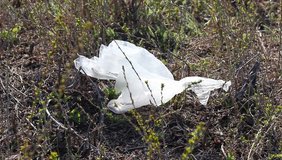 flying debris by nature, carelessly throwing plastic bags. Indestructible debris flies by nature. Environmental pollution	
