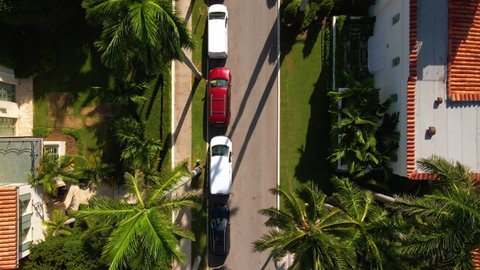 Aerial view above parked cars, palm trees and luxury houses and villas, on a street in Palm Beach, sunny morning, in Miami, Florida, USA - top down, drone shot