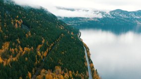 Aerial footage of drone flying over lake and forest with tree in fall colours