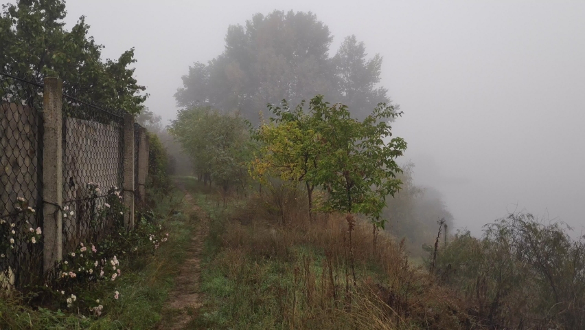 walking the trail in the fog