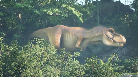 A predatory Tyrannosaurus Rex dinosaur sneaks up on its prey in the morning green jungle. View of the green prehistoric jungle forest on a Sunny morning.