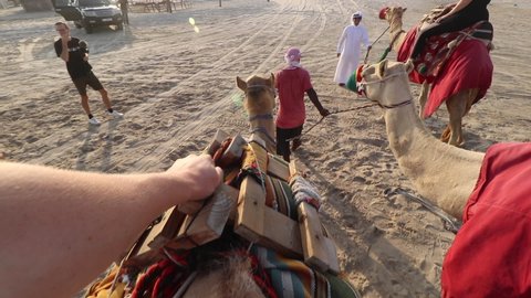 Doha, / Qatar - 12 20 2019: POV view of bumpy camel ride through the Qatar desert 