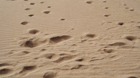 Footprints on sand, on a bright, sunny day, in The great sand dunes national park, Colorado, USA - slow motion tilt up view