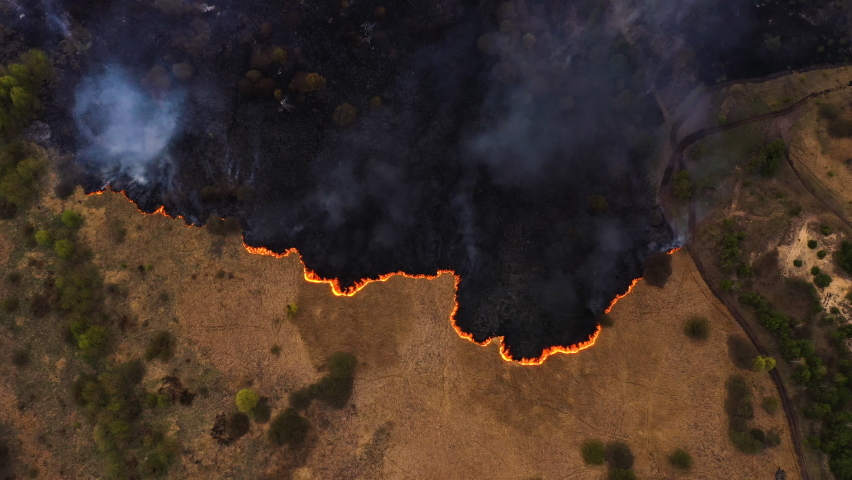 Aerial top view of a grass fire. Fly over Wild fire. Flying above burnt field. Environmental issues. Ecology concept. California wildfires. Fire in united states of America Royalty-Free Stock Footage #1060699978