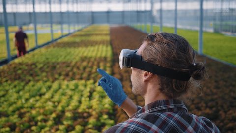 Futuristic technologies in farm business. Close-up of young gardener expert using virtual reality glasses for genetic modification of plants. Modern cultivation. Organic greenhouse.