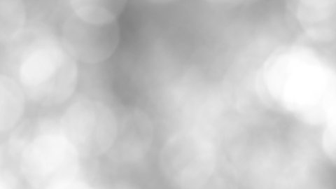 Blurred black and white abstract Christmas 4k video bokeh of blinking defocused shiny particles of natural tree foliage isolated on sunny sky background