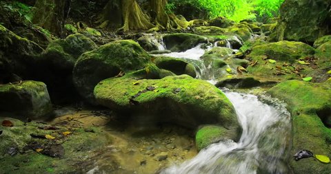Stones and rocks covered by moss along water stream flowing through green summer forest