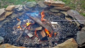 Roasting marshmallows over a fire pit is a favorite summertime activity. This video shows the flame as well as three marshmallows on a metal stick.