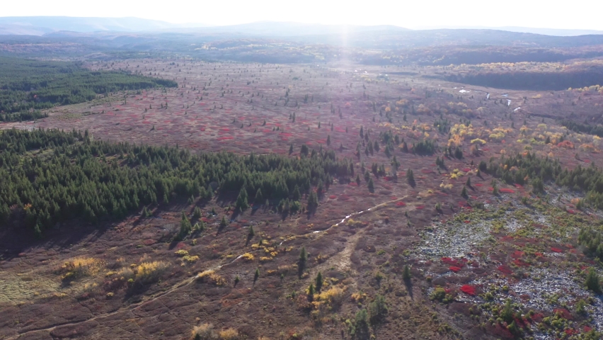Aerial views of Dolly Sods wilderness area in the West Virginia Appalachian mountains at sunset.