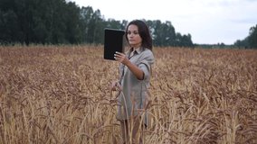 Farmer woman working with tablet on wheat field. agronomist with tablet talking on video communication reporting data of crop growth while researching plant genetics. agricultural business.