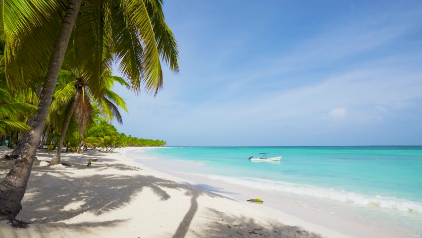 Caribbean beach and sea on Saona island, Punta Cana Dominican Republic. Coronavirus 2020 beaches without people Royalty-Free Stock Footage #1060724275