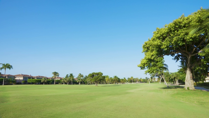 A tropical golf park with green grass on the golf field and a tall branching tree. Golf club Punta Cana Dominican Republic summer vacation.