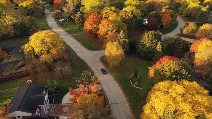 Aerial view of suburban street in fall season. The Autumn colors, bright colorful trees from above. Golden hour (sunset, sunrise) Royalty-Free Stock Footage #1060730848