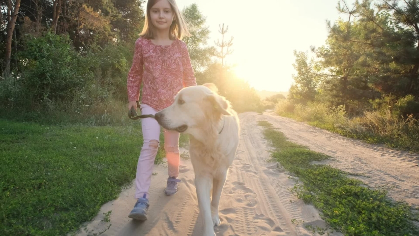 Little girl walking with dog outdoors, golden retriever breed