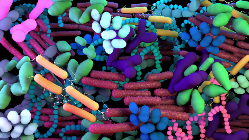 The human Microbiome, genetic material of all the microbes that live on and inside the human body. 4k animation Royalty-Free Stock Footage #1060737793