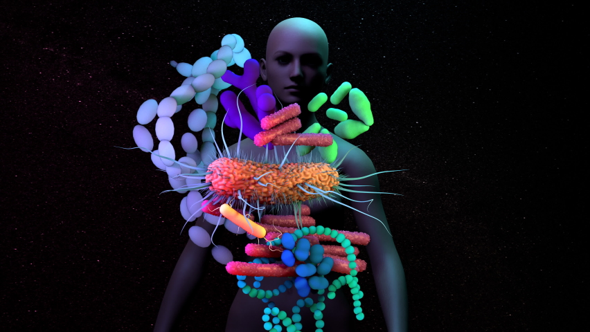 The human Microbiome, genetic material of all the microbes that live on and inside the human body. 4k animation Royalty-Free Stock Footage #1060737799