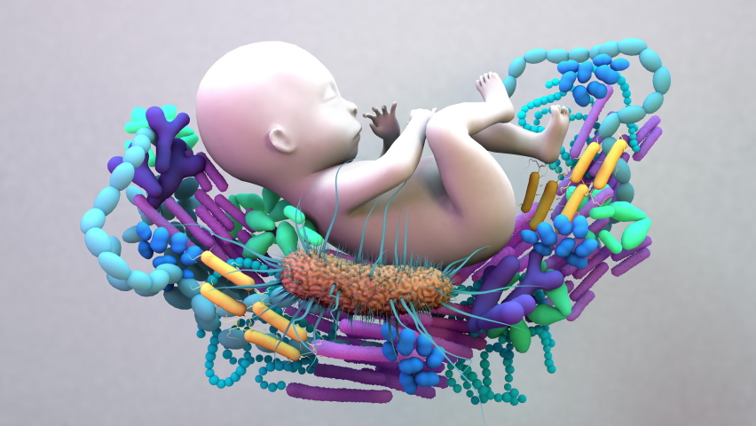 Baby Microbiome, the infant gut microbiome, genetic material of all the microbes. 4k animation Royalty-Free Stock Footage #1060737805