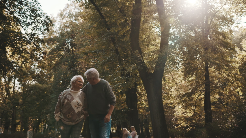 Happy old couple hugging in park. Senior man flirting with elderly woman. Romance at old age on autumn day. High quality 4k footage Royalty-Free Stock Footage #1060739059
