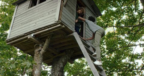 African-American kid climbing a ladder to meet his friends inside a tree house. Shot on RED Dragon with 2x Anamorphic lens