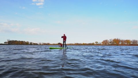 senior male is paddling an inflatable stand up paddleboard with a pitbull dog on lake in Colorado, fall scenery