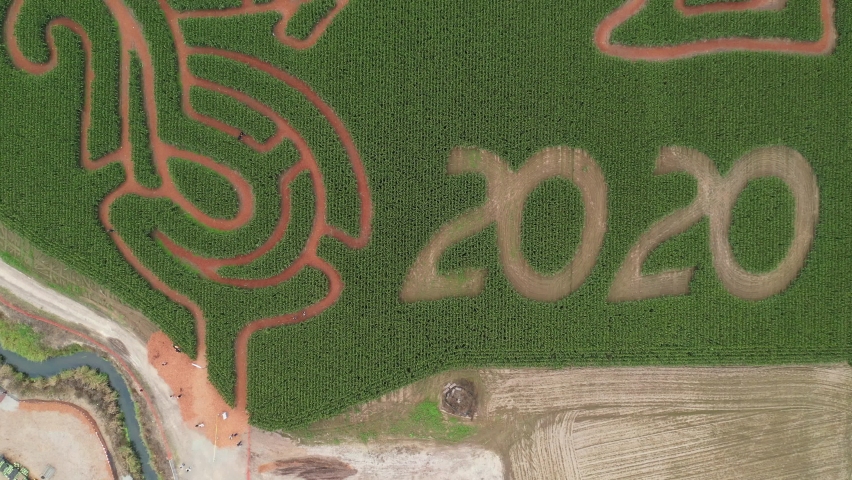 Aerial /drone footage of a corn maze and pumpkin patch on a family farm in King County, near Seattle, Washington
