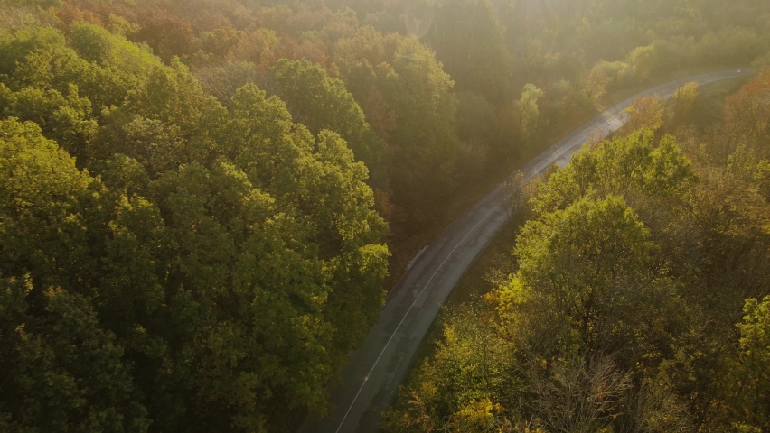Aerial view of rural road with black car in yellow and orange autumn forest Royalty-Free Stock Footage #1060753441