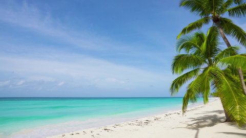 Cuba beach landscape. Palm beach and blue sea background. Sunny day on the beach. Nobody copy space