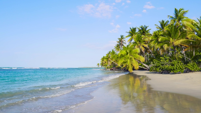 Cuba beach background. Tropical palm beach and sea. Vacation in paradise blue lagoon. Cuba sunny island beach.