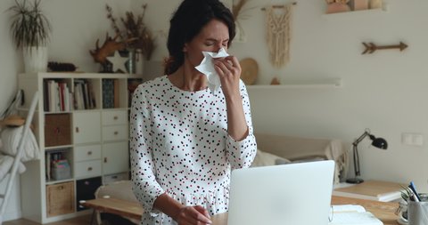 Sick business woman working on laptop, cover nose sneeze into paper napkin feels unhealthy, allergic person suffers from seasonal allergy, need treatment and rest, deadline during sick-leave concept