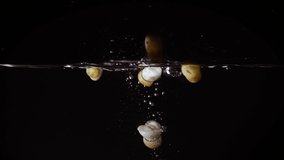 Seven small boletus edulis white mushrooms fall into the water in turn and rise up and float on the border of water and air on a black background forming bubbles and drops of spray on clear glass. - Powered by Shutterstock - Get 15% off with code: PIKWIZARD15