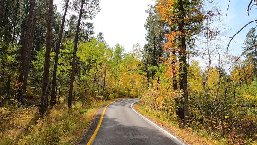 Fall Autumn colors scenic mountain road POV 4K. Black Hills of South Dakota. Mountain, valley, landscape scenic discovery. State Park with wildlife, lakes, campgrounds and picnic areas. Conservation.