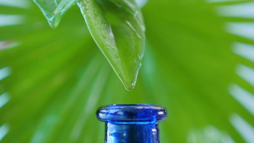 Liquid flows from green leaf into vial for healthy living | Shutterstock HD Video #1060776214