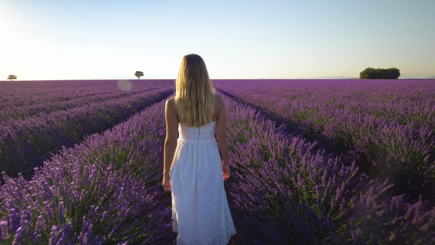 Slow motion - Young woman in a white dress walking through lavender field and touching plants at sunset. Behind beautiful girl in Provence, France
