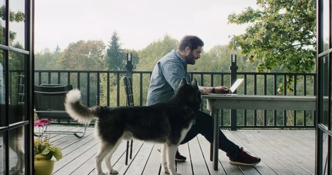 DOLLY IN 30s Hispanic male working from home, using laptop on a house outdoor terrace, dog playing nearby. Working during COVID-19 isolation. Shot on RED Epic with 2x Anamorphic lens