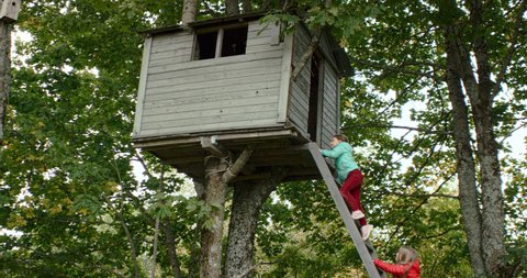 Happy two kids girls friends climbing a ladder to get into a tree house. Shot on RED Dragon with 2x Anamorphic lens