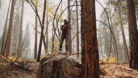 Filmmaker walking with professional camera in the forest / Cinematographer, DP, Cameraman 