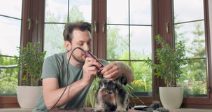 The man with beard and mustashes is clips a yorkshire terrier with a clipper. Dog sits on the table, where the clipper and attachments are located. House plants and a window are in background