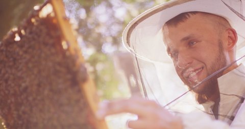 Face of a young male bearded beekeeper in white protective suit, with bee hive tool in hand, who holds in front of his face a behive frame with a lot of roaming bees, and honeycombs, and wax, and