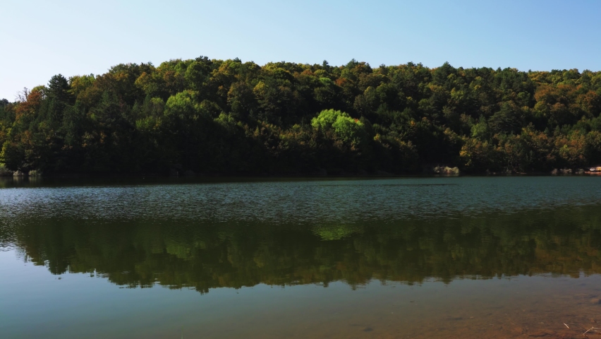 Lake current next to in the forest. Autumn landscape.