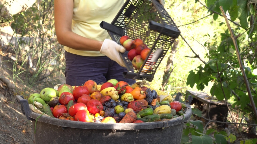 161 Trash Bin Barrel Stock Video Footage 4K And HD Video Clips   8 