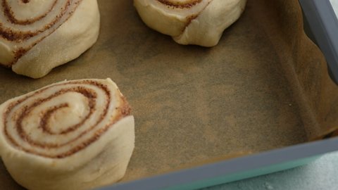 Pastry chef rolls cinnamon dough roll for buns. Female hands preparing cinnabon on the table. Close up. Production of cinnamon rolls. Bakery products. Appetizing cinnamon buns