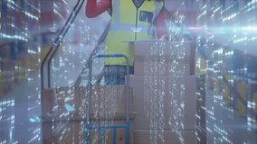 Animation of a female warehouse worker wearing a yellow vest and hard hat over data processing and digital information flowing through network of computer servers in a server room with light trails - Powered by Shutterstock - Get 15% off with code: PIKWIZARD15