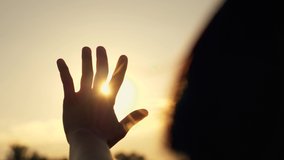 Hand of happy girl at sunset. Sunset between the hands of girl. Happy girl with long hair dreamily stretches out her hand to the sun. Child's dream hand to the sun. happy family concept - Powered by Shutterstock - Get 15% off with code: PIKWIZARD15