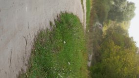 Vertical orientated 4k video of amazing countryside autumn landscape. Wavy rural road and autumnal trees growing outside. Focus in foreground on green wild grass. - Powered by Shutterstock - Get 15% off with code: PIKWIZARD15