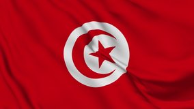 Waving flag loop. National flag of Tunisia. Realistic animation